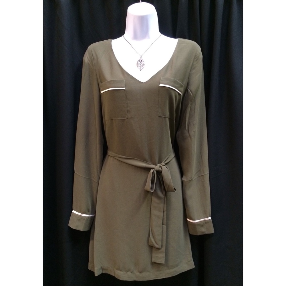 Naked Zebra Chiffon Dress